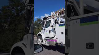 Hurricane Helene Billboard amp Tree Damage on I75 After 🌪️ HurricaneHelene Georgia [upl. by Parette]