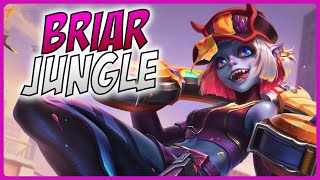 3 Minute Briar Guide  A Guide for League of Legends [upl. by Ahsineg941]