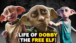 Life Of Dobby Dobby Origins Explained [upl. by Canty]