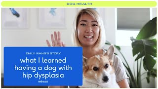 What I Learned Having a Dog with Hip Dysplasia [upl. by Byers137]