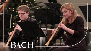 Bach  Jesus bleibet meine Freude from Cantata BWV 147  Netherlands Bach Society [upl. by Mycah449]