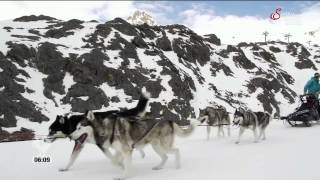 Servus Tv Frühstücksfernsehen live von der Husky Ranch [upl. by Valer219]