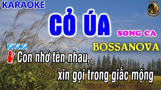 Karaoke Cỏ Úa Song Ca BOSSANOVA  Karaoke Thanh Tòng  Thanh tòng Music  Karaoke bossanova [upl. by Esinrahc]