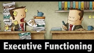 MIND MATTERS Executive Functioning [upl. by Broeder457]