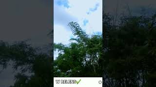 W Relens shorts youtubeshorts camera photography phonk youtuber [upl. by Angeli]