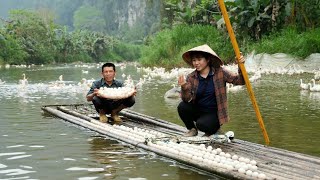 FULL VIDEO harvesting 2000 duck eggs with dad  cook farm life [upl. by Annabela]