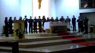 Ensemble Vox Canonica  Alta Trinita Beata [upl. by Wind]