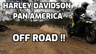 Harley Davidson Pan America OFF ROAD [upl. by Imim697]