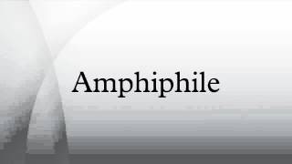 Amphiphile [upl. by Zumstein]