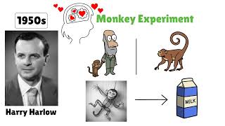 Harlows Monkey Experiment Exploring Attachment and Maternal Care [upl. by Saeger]