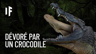 Et si un crocodile vous avalait [upl. by Bainter]