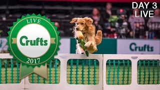 Day 3 Live  Crufts 2017 [upl. by Attenra]