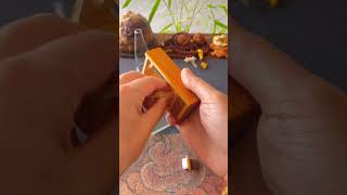 In China people have started raising insects instead of animals shortvideo [upl. by Leiruh]