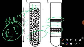 Isopycnic centrifugation [upl. by Haimerej]