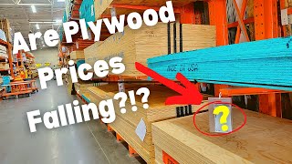 When will Plywood Prices Come Down [upl. by Aoket]