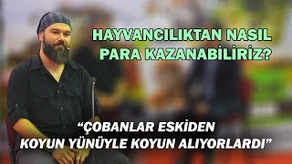 Hayvancılıktan Nasıl Para Kazanabiliriz  “Çobanlar Eskiden Koyun Yünüyle Koyun Alıyorlardı” [upl. by Lenehc]