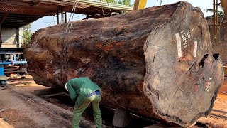 Im a PRO Woodcutter and I Cut 2 HUGE Trees with the Worlds Largest Saw [upl. by Odawa]