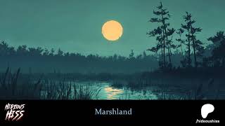 Marshland  ambience sample [upl. by Ira]