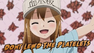 The Loli Platelets Are Too Adorable  Cells At Work Episode 2 [upl. by Bow]