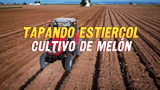 Cómo Incorporar abono orgánico al suelo para MEJORAR Cultivo de melón 🌱🍈✅️ [upl. by Fesoy959]