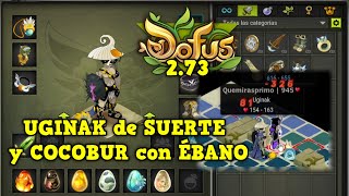 DOFUS 273 DEMASIADO DAÑO POR POCOS PA  UGINAK de SUERTE  Koliseos 1vs1  Kuyvrosyt [upl. by Norrek]