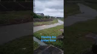 Viewing the Anilao River Shorts [upl. by Yenaled]