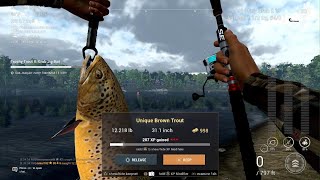 Fishing Planet  Unique Brown Trout  Saint Croix Lake [upl. by Notsua]