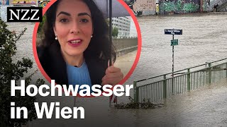 Hochwasser in Wien Nicht die Donau ist das Problem – sondern der Wienfluss [upl. by Bergren909]