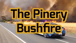 The Pinery Bushfire  A Chilling Media Recap [upl. by Trebmer859]