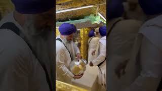 Gurudwara Sis Ganj Sahib amritvela🪯🪯🙏🙏🙏 [upl. by Greerson]