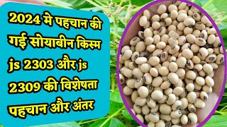 Soybean new variety 2024  Soybean new variety js 2303 aur js 2309 ki jankari [upl. by Guthrey6]