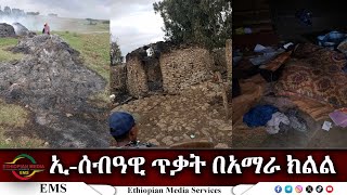 EMS Special ኢሰብዓዊ ጥቃት በአማራ ክልል Sat 07 Dec 2024 [upl. by Calvinna708]