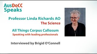 All Things Corpus Callosum  Prof Linda Richards  The Science 1 [upl. by Stirling]