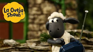 La Oveja Shaun 🐑 Ovejas a control remoto 🐑 Dibujos animados para niños [upl. by Nauaj483]