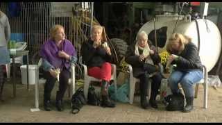 Open dag bij Zorgboerderij De Veldlinden [upl. by Silverts]