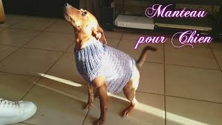 Tuto Tricot quot Manteau pour Chienquot [upl. by Sorodoeht]