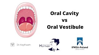 Oral cavity amp oral Vestibule  Dissection room 1  Anatomy [upl. by Enitsahc798]