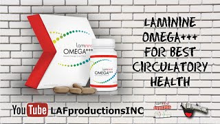 Laminine OMEGA  Best Omega 369 Supplement  Circulatory Health [upl. by Gustave266]