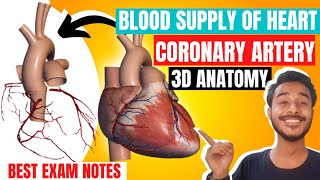 Coronary artery anatomy  Artery supply of heart anatomy  Blood supply of heart anatomy in hindi [upl. by Carolus351]