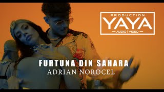 ADRIAN NOROCEL  FURTUNA DIN SAHARA  OFICIAL [upl. by Derman840]