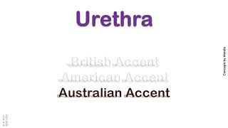 Urethra How to Pronounce Urethra in Australian Accent British Accent American Accent [upl. by Tarrah21]