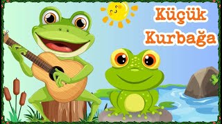 Küçük Kurbağa Şarkısı  Çocuk Şarkıları  Little Frog Song  DANDİNİ ÇOCUK TV [upl. by Wharton]