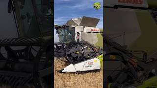 Lexi in Action👌• Getreideernte • Grain Harvest • 2023 • Claas Lexion [upl. by Lamee]