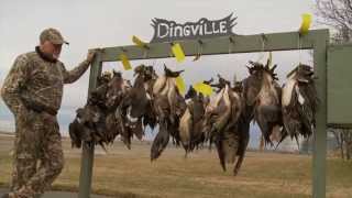 Dingville 20122013 Hunting Season [upl. by Goodrow]