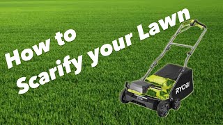 How to Scarify your lawn Dethatch your grass [upl. by Araes762]