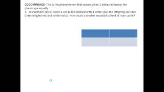 Genetics Problems I HN biology [upl. by Rumpf]