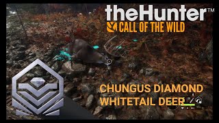 Chungus Diamond Whitetail Deer COTW [upl. by Ellebasi]