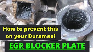 Kennedy Diesel How to Install an EGR blocker and finger stick on your LBZ Duramax 2006 2007 [upl. by Ahseuqram]