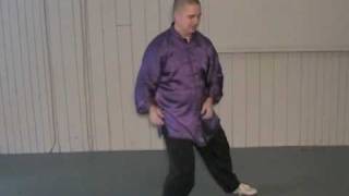 24 Form Tai Chi  Lesson 10  Grasp Birds Tail  part 2 [upl. by Brinn]