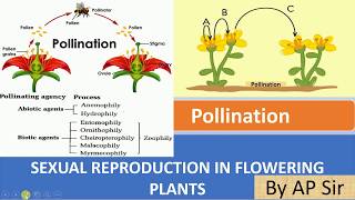 Pollination and its type [upl. by Nodla]